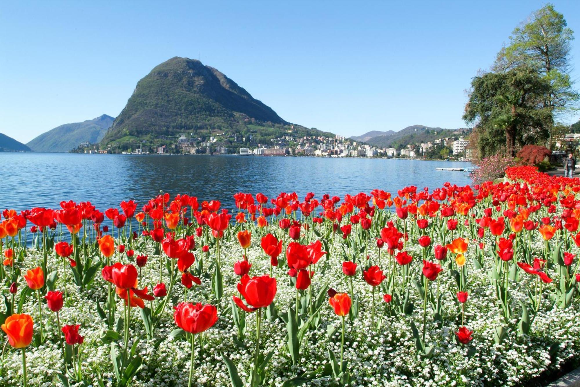 Appartamento Little Lugano Esterno foto